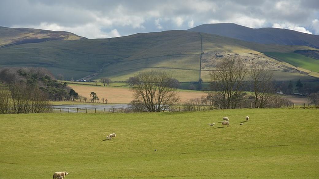 Земеделците във Великобритания призовават за нов референдум за Brexit