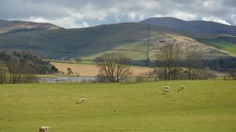 Земеделците във Великобритания призовават за нов референдум за Brexit