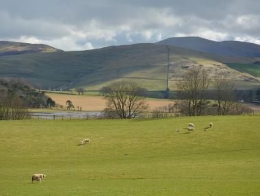 Земеделците във Великобритания призовават за нов референдум за Brexit