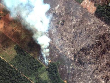 Бразилия няма пари да се справи с пожарите в Амазонка