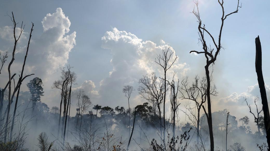 Лидерите на Г-7 решиха да помогнат за пожарите в Амазония