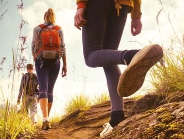 Застраховка при злополука от ДЗИ