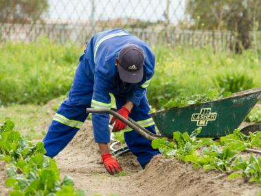 Британските фермери вече тъгуват за българите и румънците
