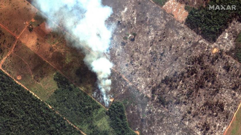 Бразилия отказа помощта на Г-7 за справяне с пожарите в Амазония