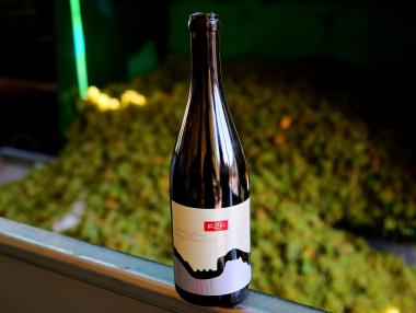 New Bloom Winery стартира гроздобера с отличен Совиньон блан