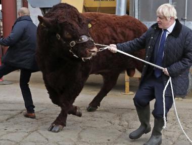 Джонсън не мисли за оставка дори при провал на Brexit на 31 октомври