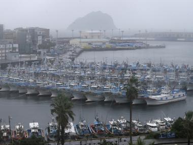 ТАСС: Северна и Южна Корея може да се обединят в икономически съюз