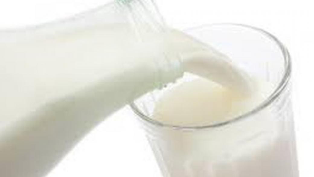 Общо 14 български компании изнасят млечни продукти за Китай
