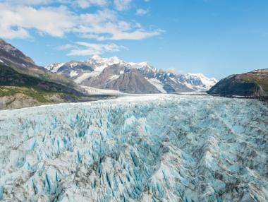 САЩ ще сондира за петрол в защитен природен резерват на Аляска