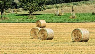 Собствениците на земеделски земи искат по-високи обезщетения при отчуждаване