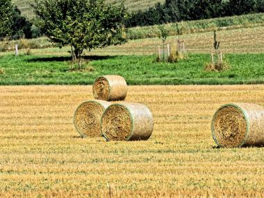 Собствениците на земеделски земи искат по-високи обезщетения при отчуждаване