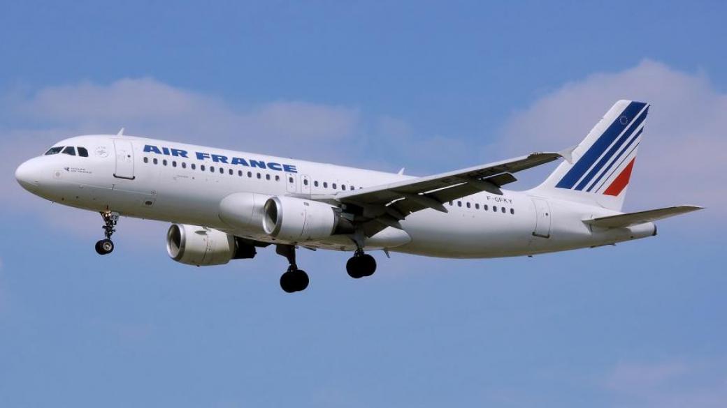 Air France ще неутрализира емисиите от вътрешните си полети през 2020 г.