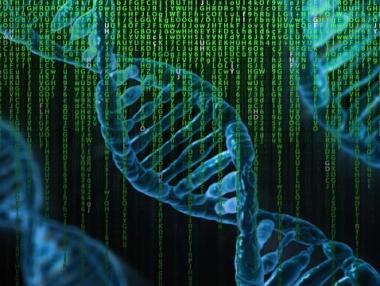 Сърдечно-съдовите заболявания са причина за 65% от смъртността в България