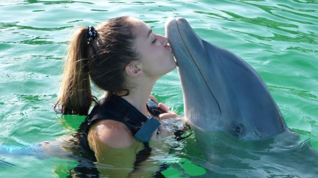 TripAdvisor няма да продава билети за атракции с китове и делфини