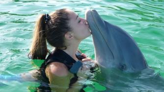 TripAdvisor няма да продава билети за атракции с китове и делфини