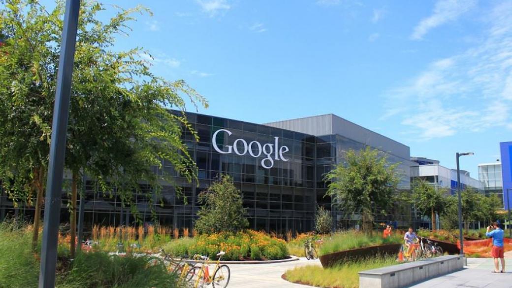Google ще отглежда и дървета в Силициевата долина