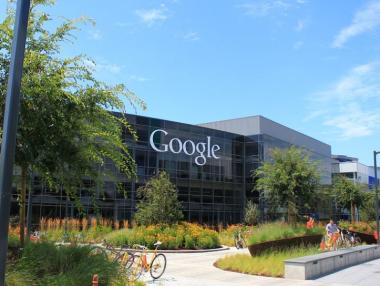Google ще отглежда и дървета в Силициевата долина