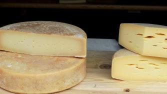 БАБХ състави 20 акта заради нарушения при училищни храни