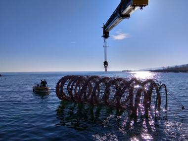 The Unexplored Waters of Entrepreneurship in Varna.