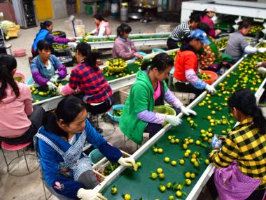 Китайската индустрия ще се свие за шести пореден месец