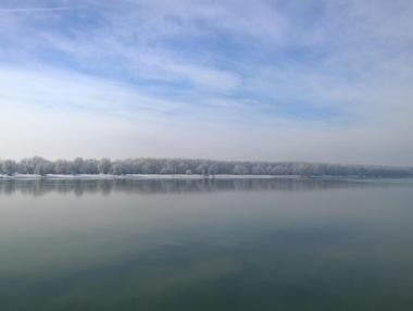 Товарни кораби са блокирани край Свищов