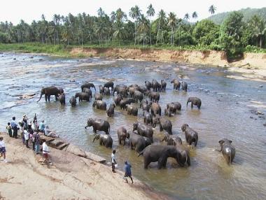 Три идеи за слънчева ваканция през януари