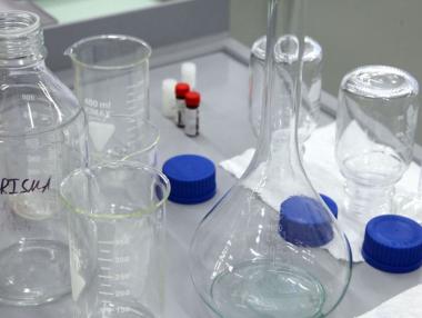 From the Herb to the Pill