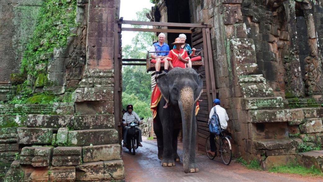 Камбоджа забрани ездата на слонове в Ангкор Ват