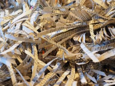 Почти половината фирми в България предават хартията си за рециклиране