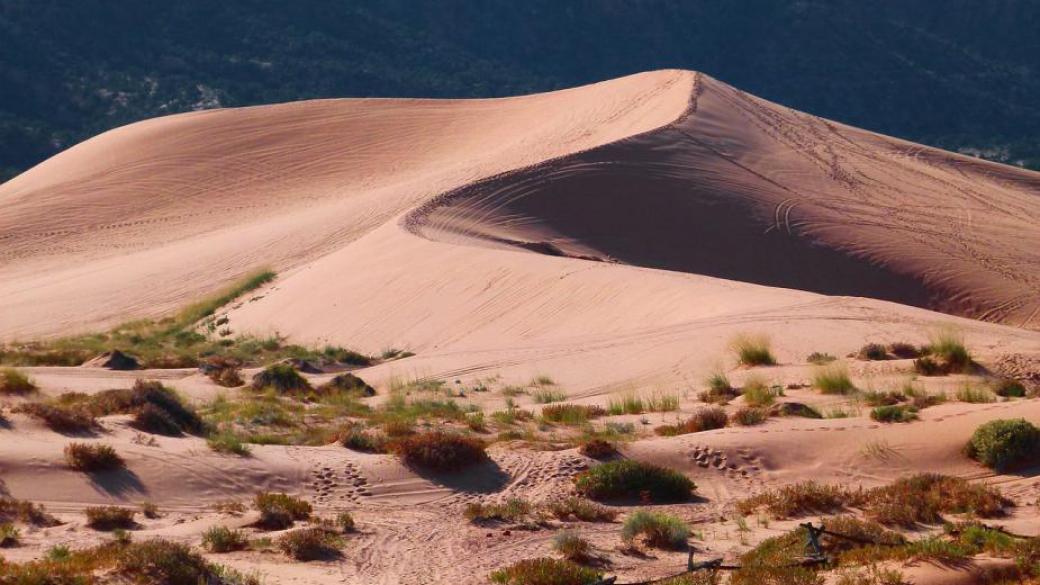 7 забавни неща, които може да правите в пустинята