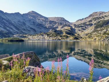 ЕК стартира наказателна процедура срещу България по НАТУРА 2000