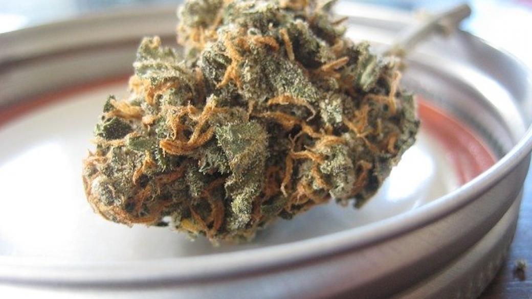 Продажбите на марихуана в Илинойс достигнаха $3.2 млн. за ден