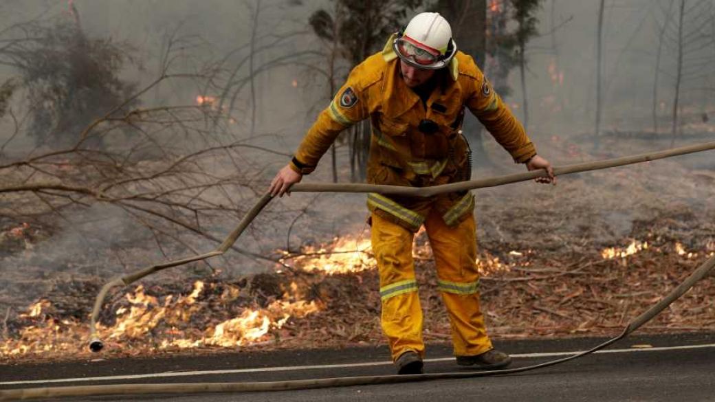 Прогнозните щети от пожарите в Австралия достигат $490 млн.