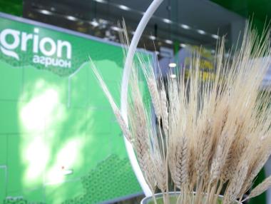 Продажбата на земя през януари - най-изгодна за собствениците