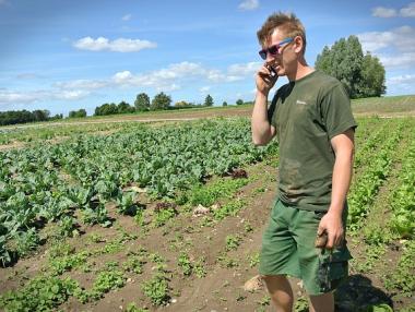 ДФЗ предупреди стопаните за телефонни измами