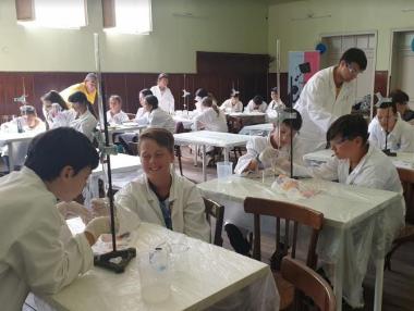 The Wonderful World of Science