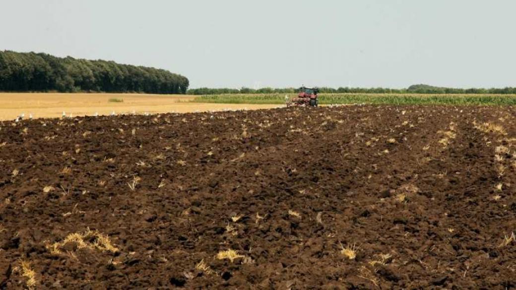 Близо 3 млрд. лв. са предвидени за финансиране на земеделието през 2020 г.