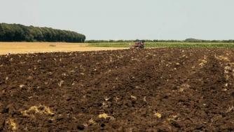 Близо 3 млрд. лв. са предвидени за финансиране на земеделието през 2020 г.