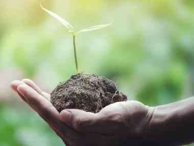 Три европейски програми за зелени предприемачи за 2020 г. са отворени за кандидатстване