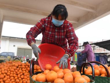 Китай ще освободи от мита 696 вида американски стоки