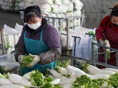 Китайските фирми вече не могат да плащат заплати заради коронавируса