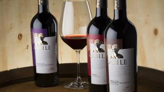 Златни медали за българското вино Kabile във Франция