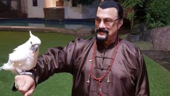 Стивън Сегал e глобен с $300 000 за реклама на криптовалута