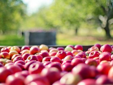 Каракачанов иска „замразяване“ на вноса на плодове и зеленчуци от чужбина