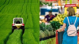 Държавата популистки изостря конфликта между веригите и производителите