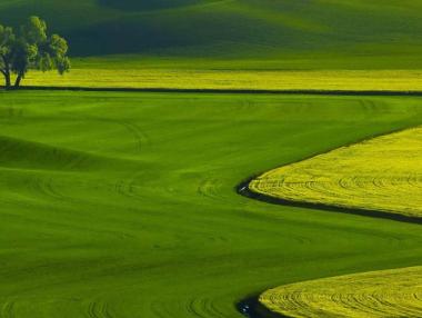 ДФ „Земеделие” преведе 445 млн. лв. зелени плащания за Кампания 2019