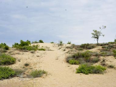 Плажът на Cacao beach има нов концесионер