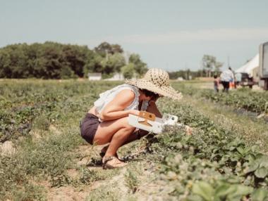 Земеделците вече могат да сключват и „многодневни“ трудови договори