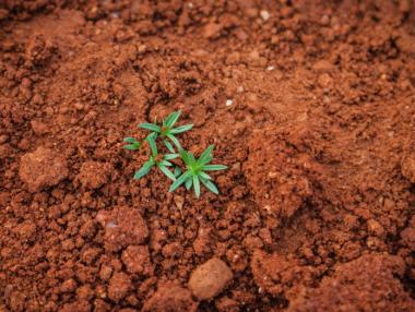 Засушаването на почвата е огромен риск за европейското земеделие