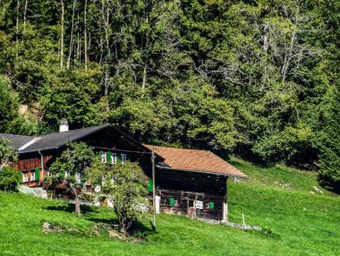 Имотният пазар поема в нова посока: Търсят се къщи и апартаменти с двор